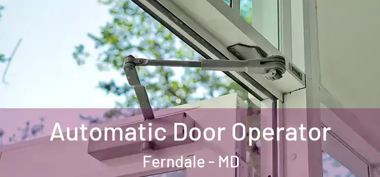  Automatic Door Operator Ferndale - MD