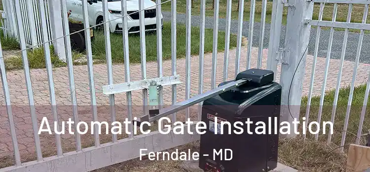  Automatic Gate Installation Ferndale - MD