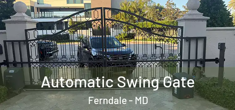  Automatic Swing Gate Ferndale - MD