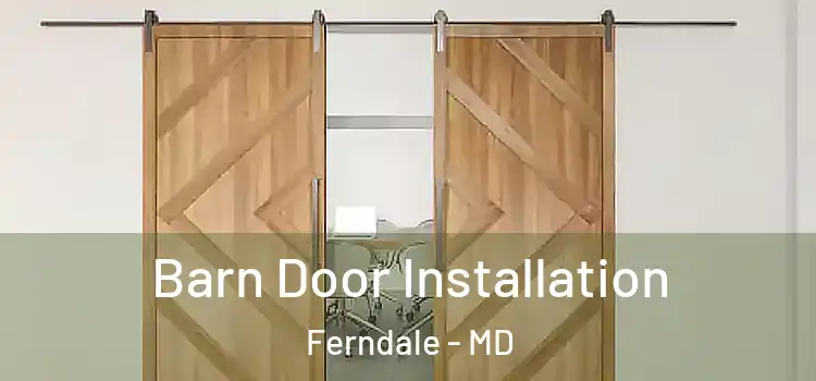  Barn Door Installation Ferndale - MD