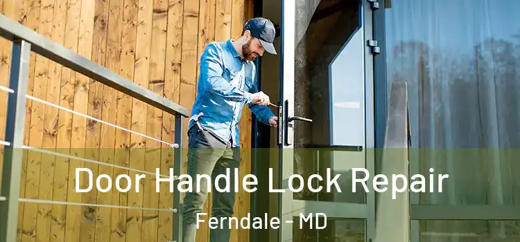 Door Handle Lock Repair Ferndale - MD