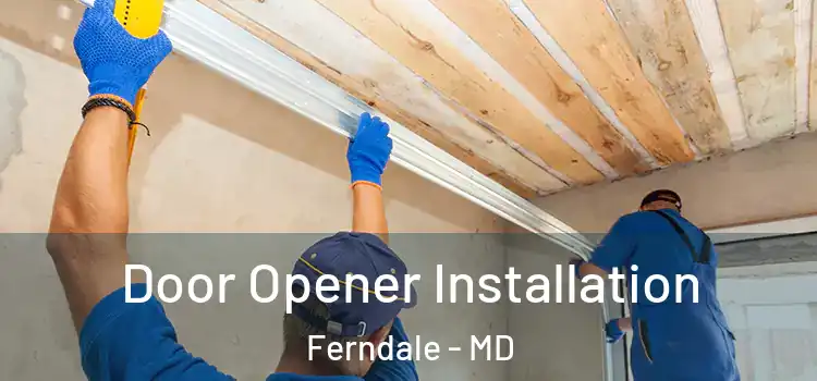  Door Opener Installation Ferndale - MD