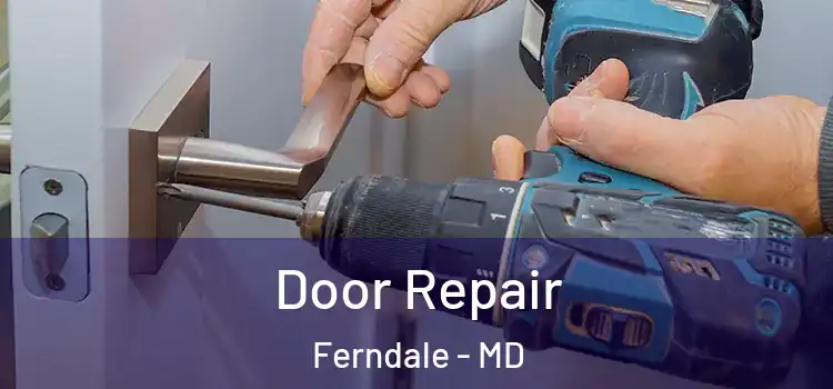  Door Repair Ferndale - MD