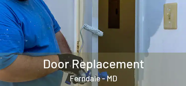  Door Replacement Ferndale - MD