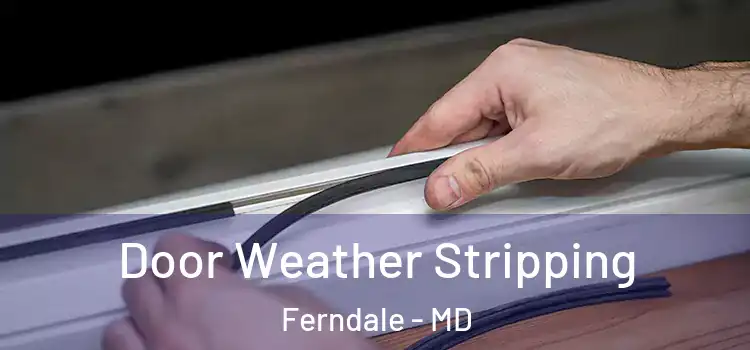  Door Weather Stripping Ferndale - MD