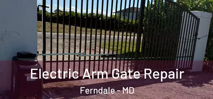 Electric Arm Gate Repair Ferndale - MD