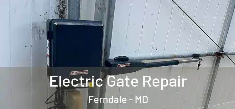  Electric Gate Repair Ferndale - MD