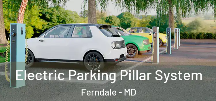 Electric Parking Pillar System Ferndale - MD