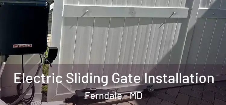  Electric Sliding Gate Installation Ferndale - MD