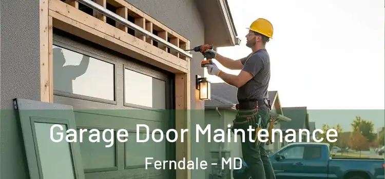  Garage Door Maintenance Ferndale - MD