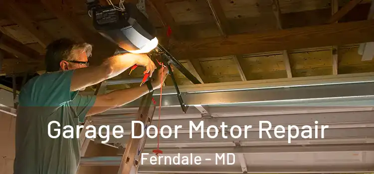  Garage Door Motor Repair Ferndale - MD