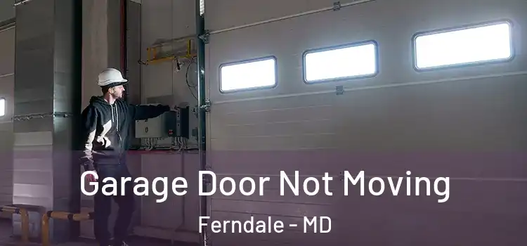  Garage Door Not Moving Ferndale - MD