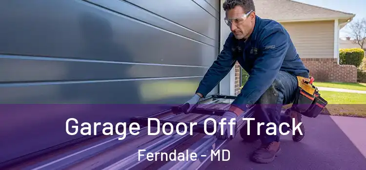  Garage Door Off Track Ferndale - MD