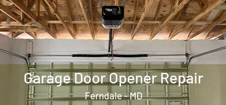 Garage Door Opener Repair Ferndale - MD