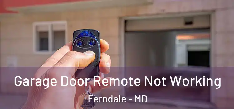  Garage Door Remote Not Working Ferndale - MD