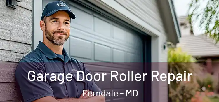  Garage Door Roller Repair Ferndale - MD