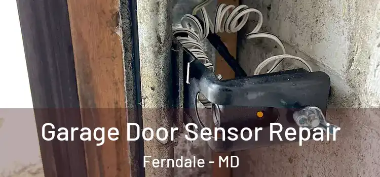 Garage Door Sensor Repair Ferndale - MD