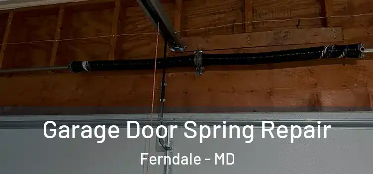  Garage Door Spring Repair Ferndale - MD