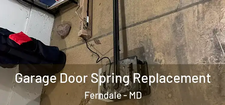  Garage Door Spring Replacement Ferndale - MD