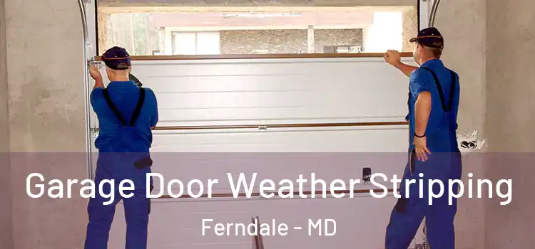  Garage Door Weather Stripping Ferndale - MD