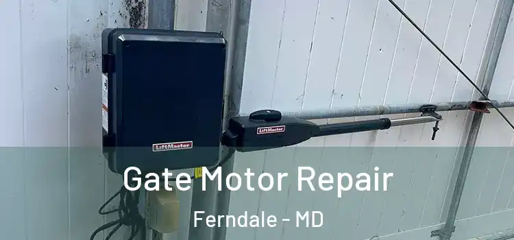  Gate Motor Repair Ferndale - MD
