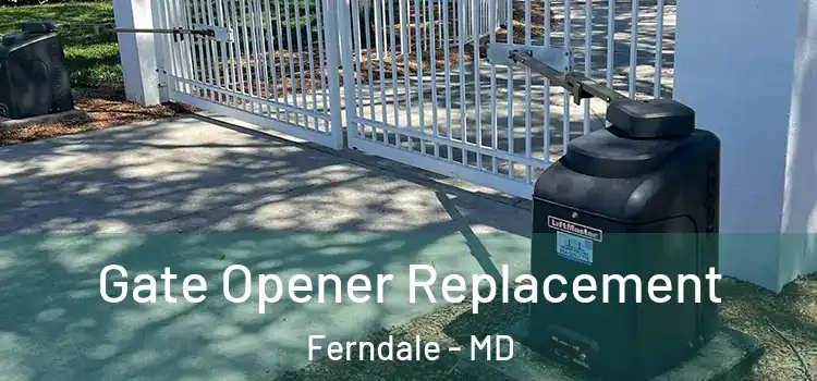  Gate Opener Replacement Ferndale - MD