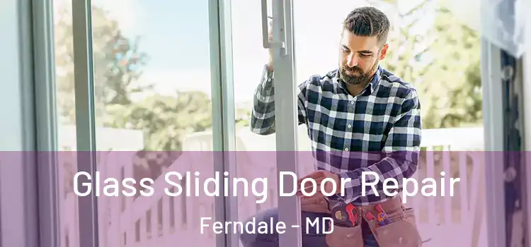  Glass Sliding Door Repair Ferndale - MD