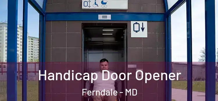 Handicap Door Opener Ferndale - MD