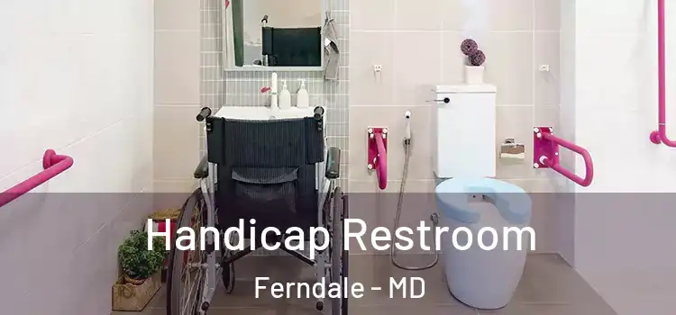  Handicap Restroom Ferndale - MD