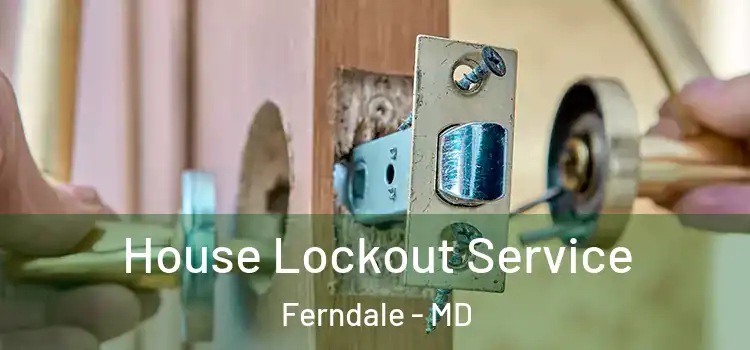  House Lockout Service Ferndale - MD