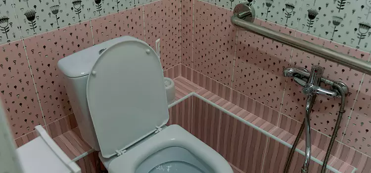 Meeting Diverse Needs With Accessible Restroom Solutions in Ferndale, MD