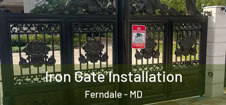  Iron Gate Installation Ferndale - MD