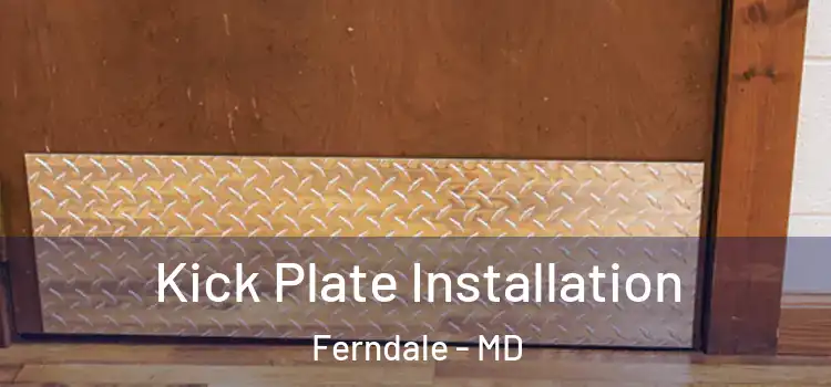  Kick Plate Installation Ferndale - MD