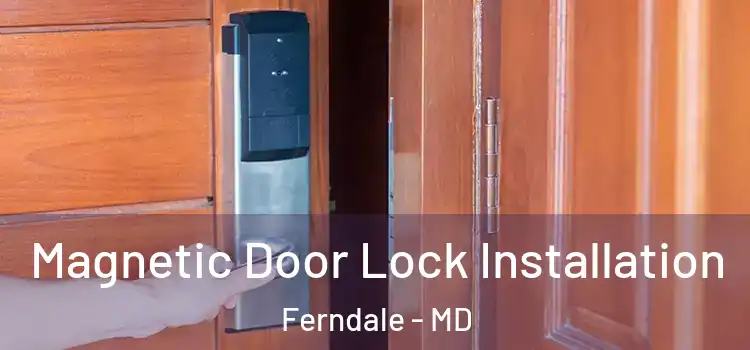  Magnetic Door Lock Installation Ferndale - MD