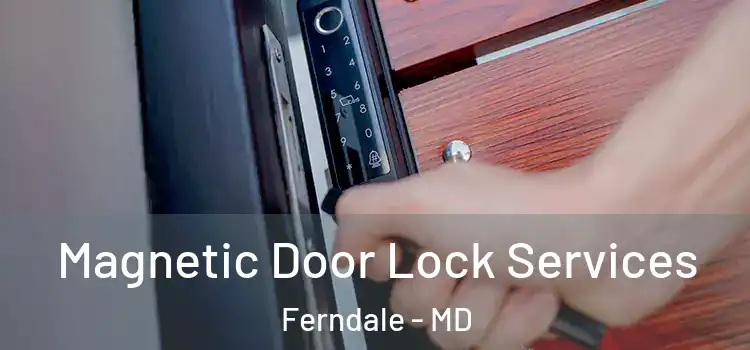  Magnetic Door Lock Services Ferndale - MD