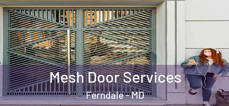  Mesh Door Services Ferndale - MD