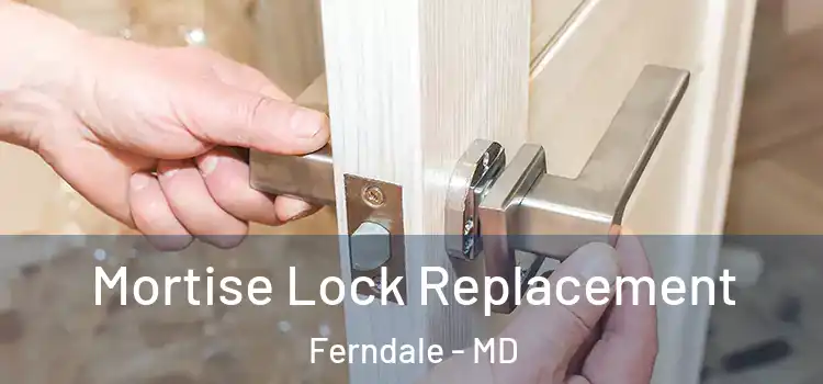  Mortise Lock Replacement Ferndale - MD