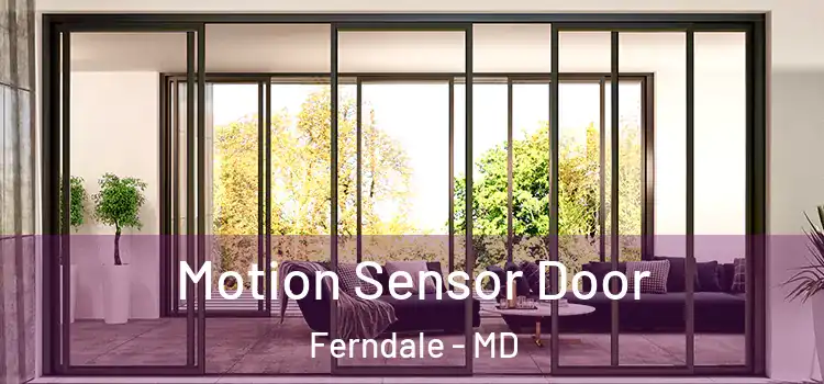  Motion Sensor Door Ferndale - MD