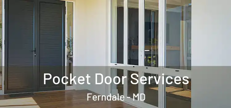  Pocket Door Services Ferndale - MD
