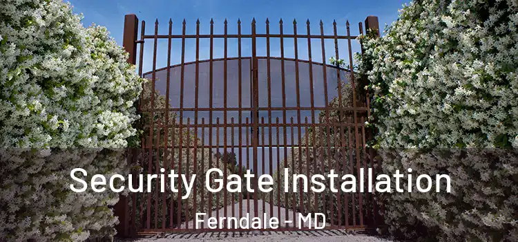  Security Gate Installation Ferndale - MD