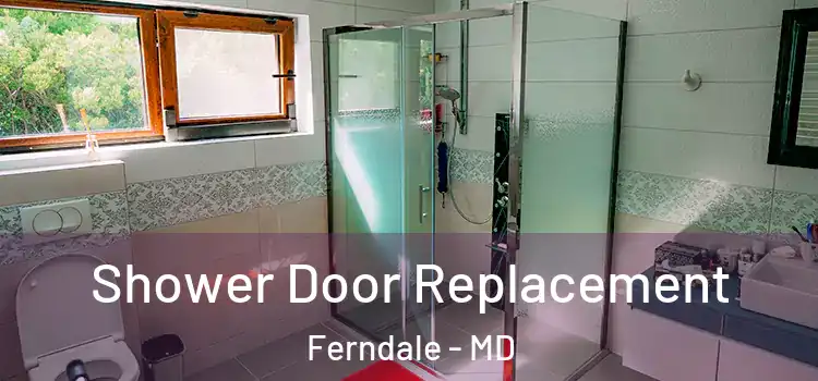  Shower Door Replacement Ferndale - MD