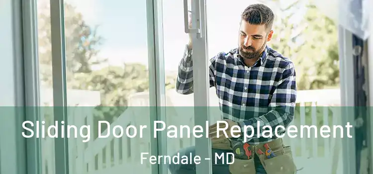  Sliding Door Panel Replacement Ferndale - MD