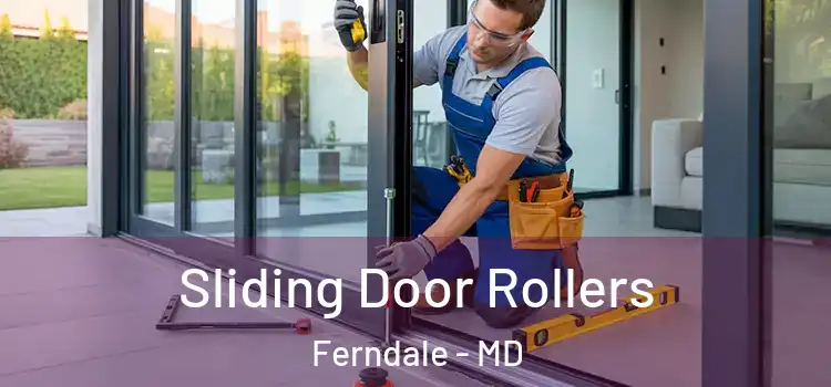  Sliding Door Rollers Ferndale - MD