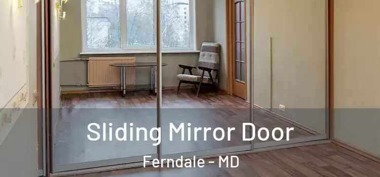  Sliding Mirror Door Ferndale - MD