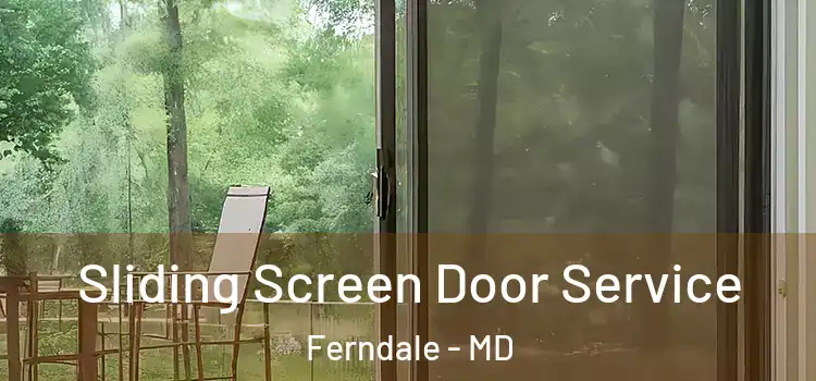  Sliding Screen Door Service Ferndale - MD