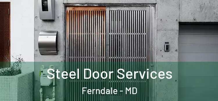 Steel Door Services Ferndale - MD